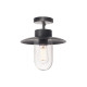 Molat plafonnier extérieur anthracite E27 max 60W IP44