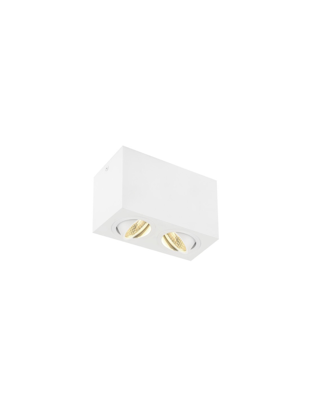 Plafonnier indoor apparent Triledo Double LED blanc 3000K 16W