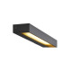 Applique outdoor apparent Pema WL LED IP54 anthracite 3000K