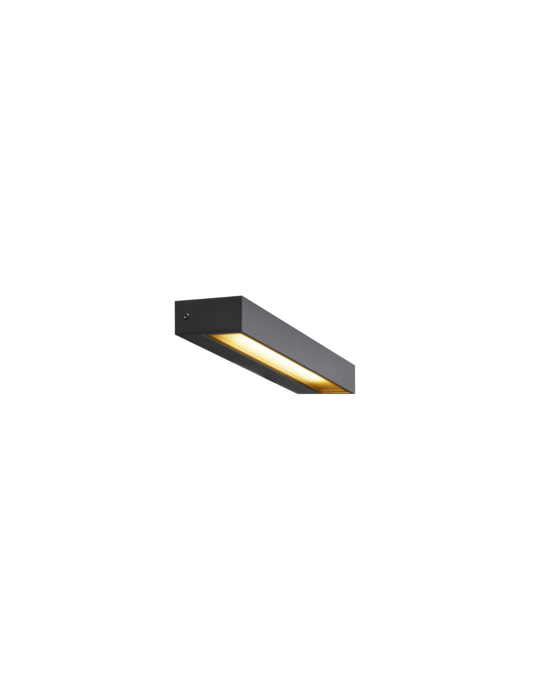 Applique outdoor apparent Pema WL LED IP54 anthracite 3000K