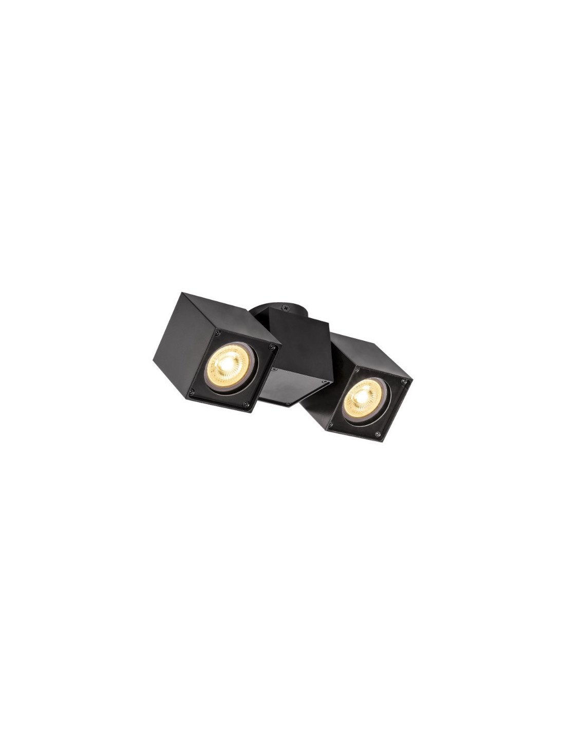 Applique/plafond indoor apparent Altra Dice CW à deux lampes QPAR51 noir