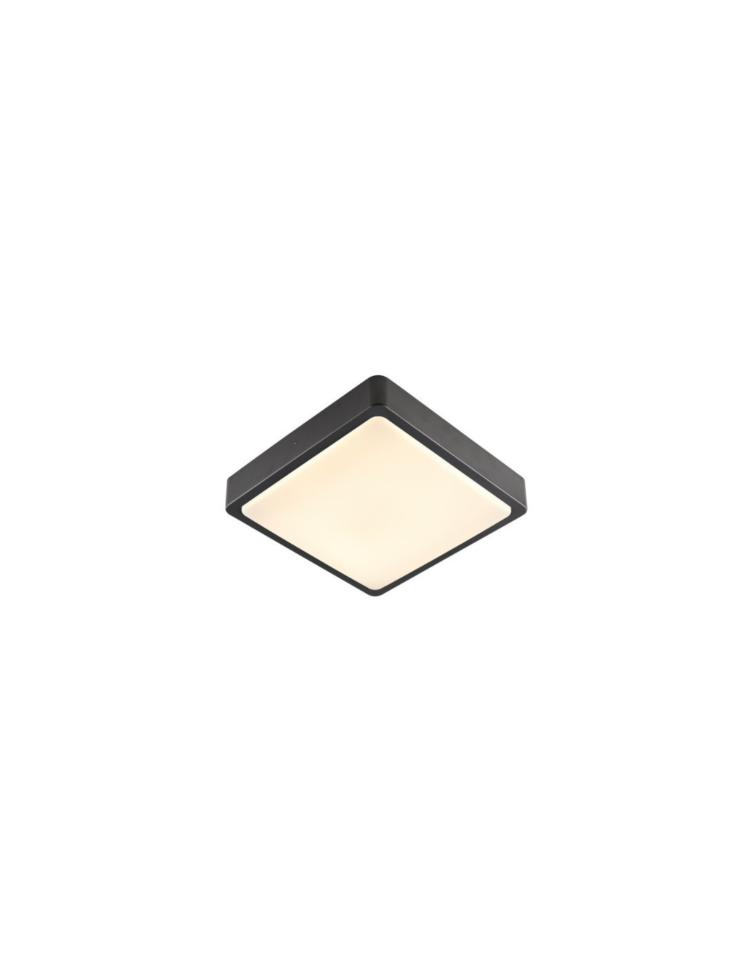 Ainos square sensor applique/plafonnier LED outdoor anthracite comm CCT 3/4000K