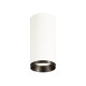 Numinos CL DALI M plafonnier LED blanc/noir 4000K 60°