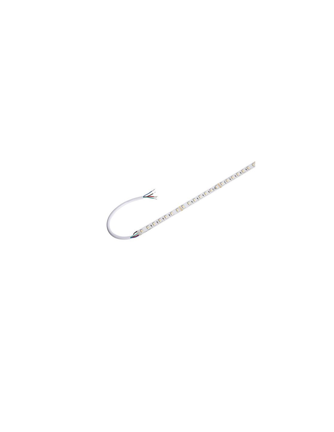 Grazia PRO flexstrip 24 V 12 mm RVBB