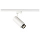 NUMINOS® ZOOM M PHASE