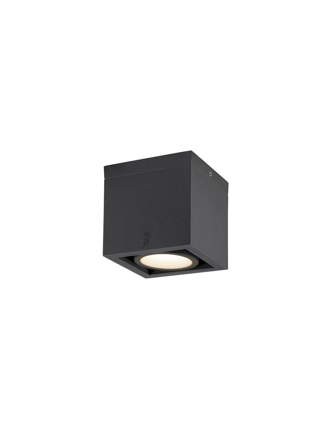 ESKINA FRAME CL single, Luminaire plafond anthr 15W 1100/1200lm 3000/4000K