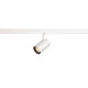 NUMINOS® XS 48 V TRACK DALI spot blanc/noir 8,7 W 620 lm 2700 K IRC 90 40°