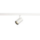 NUMINOS® XS 48 V TRACK DALI spot blanc/noir 8,7 W 700 lm 3000 K IRC 90 20°