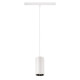 NUMINOS® S 48 V TRACK DALI suspension blanc/chromé 16 W 1050 lm 3000K 55°