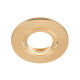 Cache UNIVERSAL DOWNLIGHT pour Downlight IP65 rond or mate