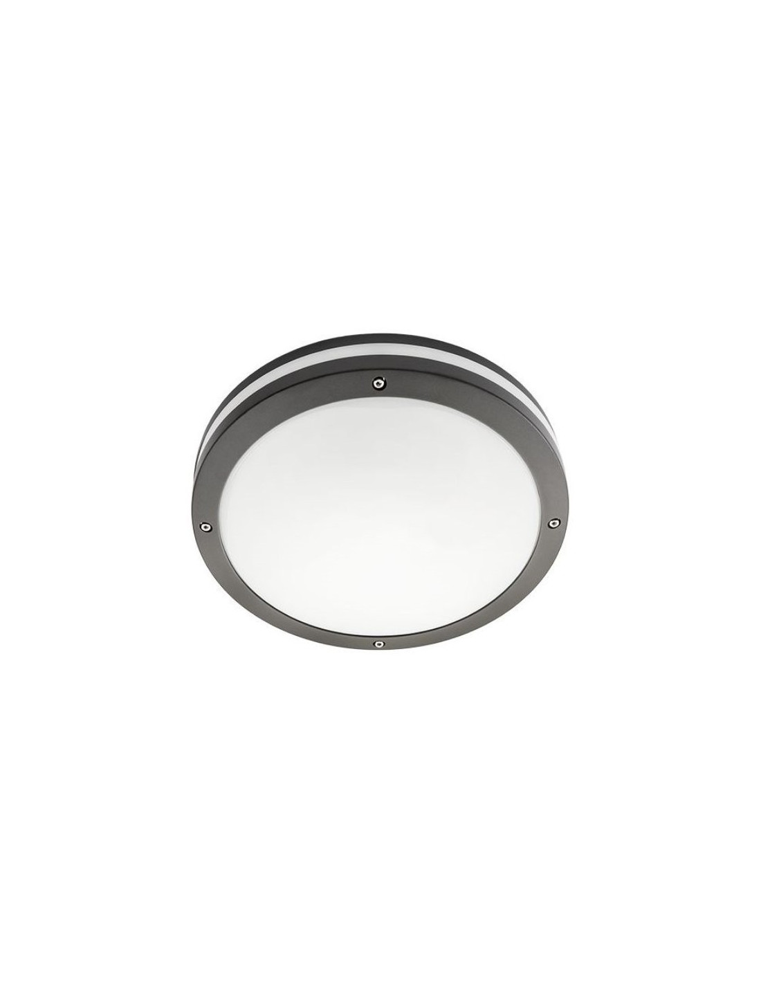 armature apparante Discos graphite/opale 2xE27 CFL max 33 W outdoor IP65