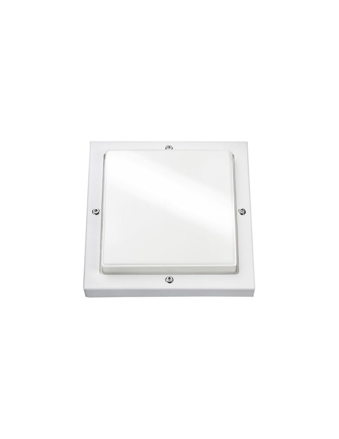 Bassi appl apparent LED blanc/opale 10W LED intégré IP65