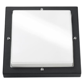 Bassi appl apparent LED noir/graphite 10W LED intégré IP65