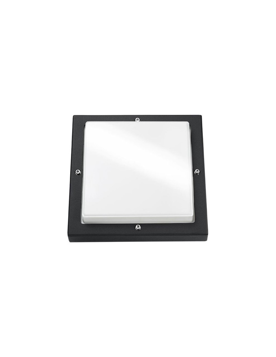 Bassi appl apparent LED noir/graphite 10W LED intégré IP65