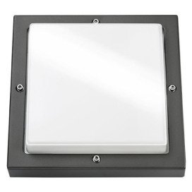 Bassi appl apparent LED graphite/opale 10W LED intégré IP65