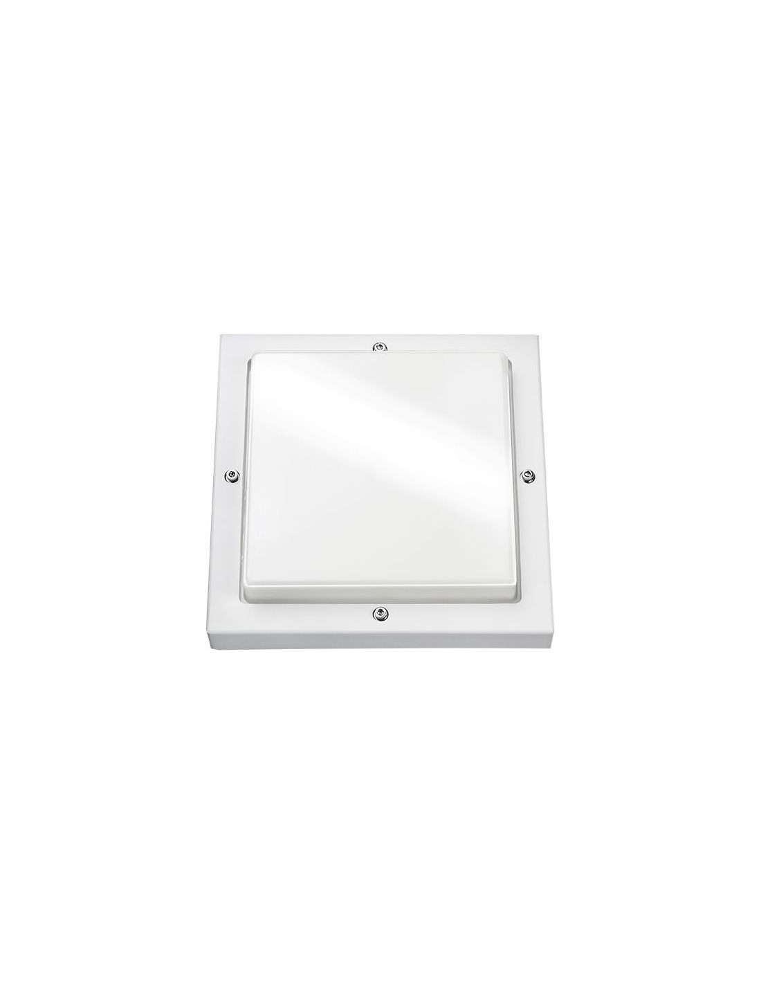 Basso blanc 2000 LED 3000K