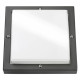 Bassi LED graphite 10W LED 3000K + Twilight