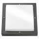 Basso graphite 2000 LED 3000K + détecteur
