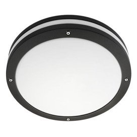 Discos noir mat 2xE27 CFL + détecteur