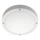 Discos blanc 2000 LED 4000K + détecteur