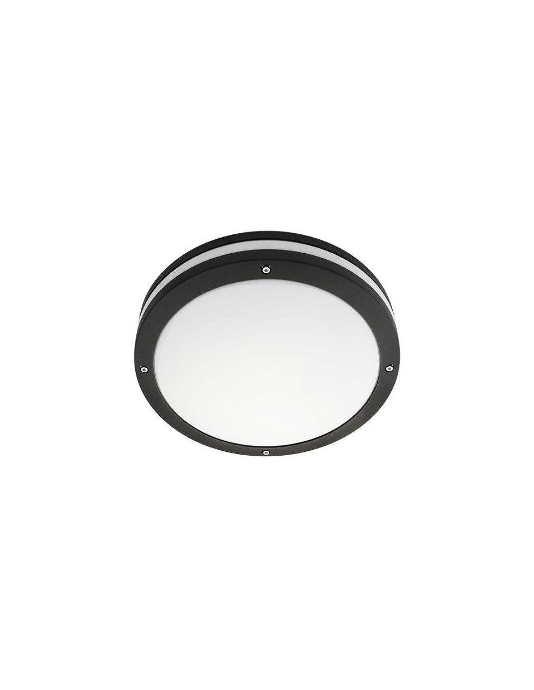 Discos noir 2000 LED 4000K + détecteur