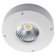 Callisto blanc mat 4W LED 3000K