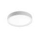 Disc 290 Blanc 2700K Dali Led 17W