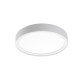 Disc 290 blanc TW LEDDim 2700-6500K