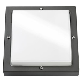 Bassi graphite/opale E27 + détecteur