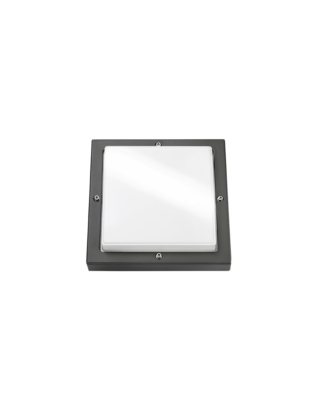 Bassi graphite/opale E27 + détecteur
