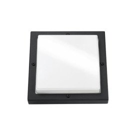 Basso graphite 3000K détecteur