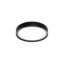 Disc 290 noir 2700K Dali