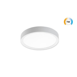Disc 290 blanc LED TW 2000-4000K LEDDim