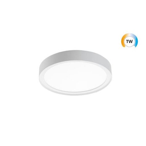 Disc 290 blanc LED TW 2700-6500K Dali Type 8