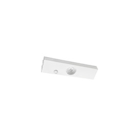Chef LED blanc 1x LED +alim. 3000K Coupure de phase