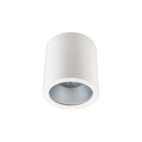 Rax Soft Surface IP65 150 blanc 4000 4000K non dimmable